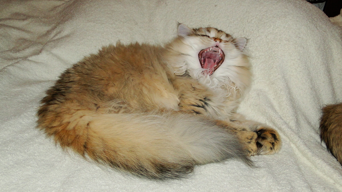 Фото из личного архива