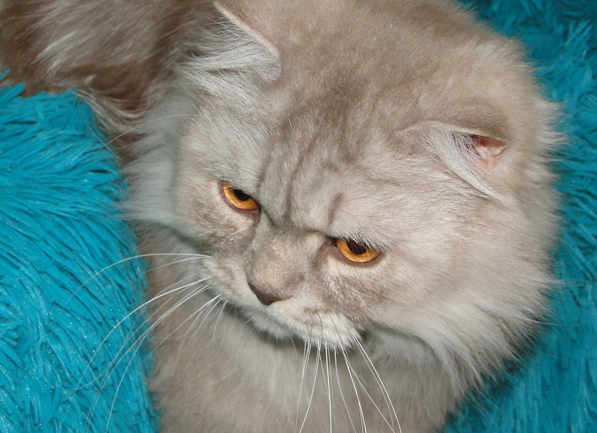 Фото из личного архива