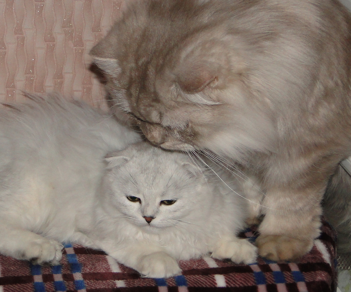 Фото из личного архива