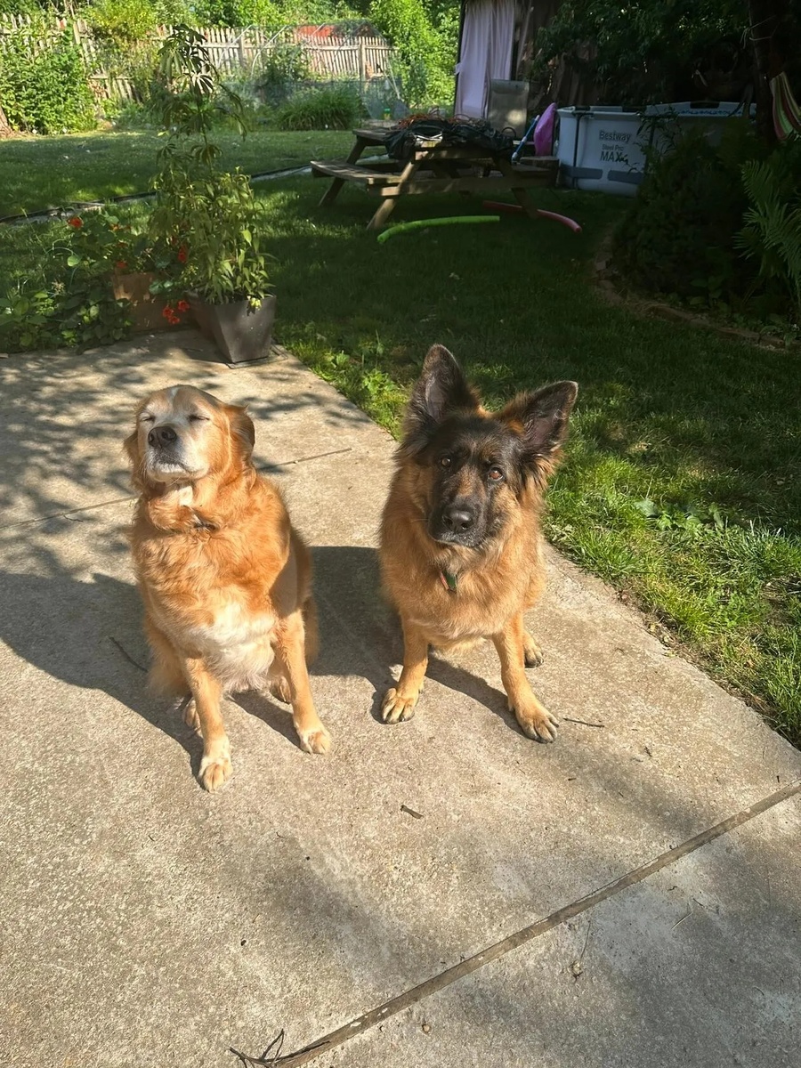 Эйнштейн и Аляска