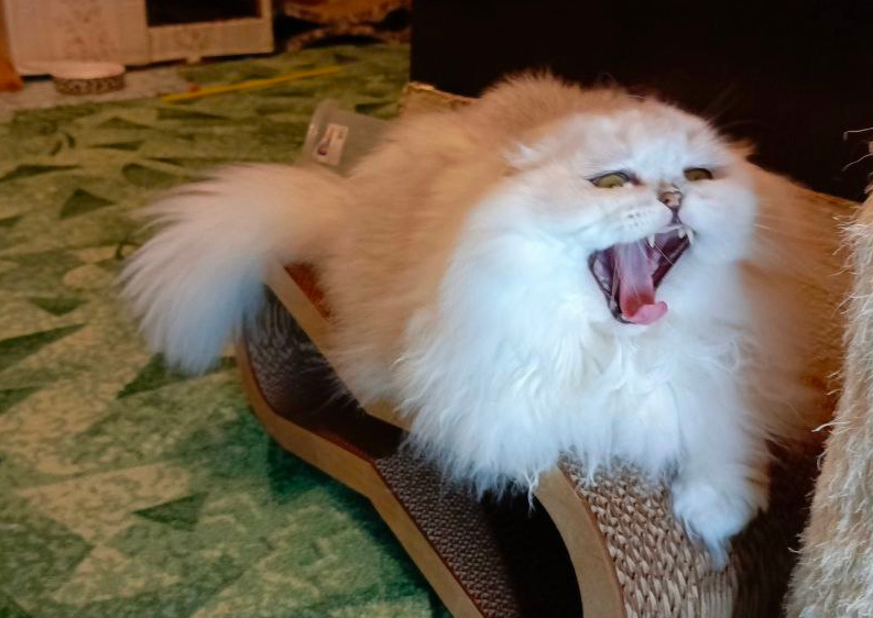 ФОТО ИЗ ЛИЧНОГО АРХИВА