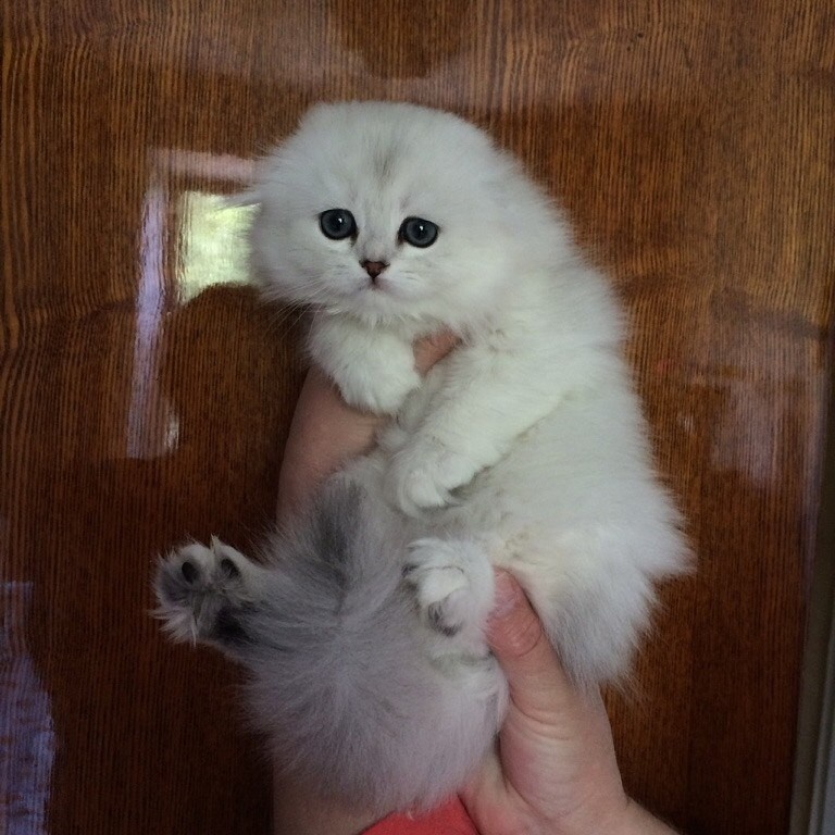 Фото из личного архива