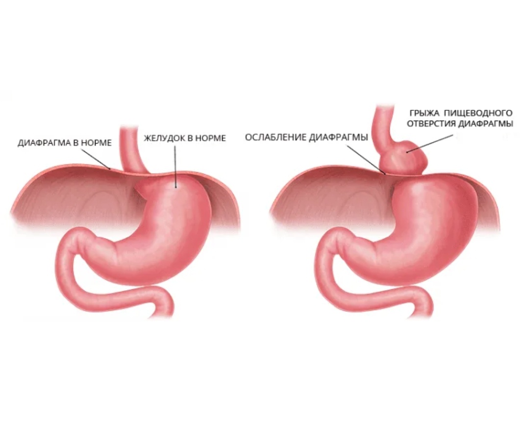 Фото из открытых источников.