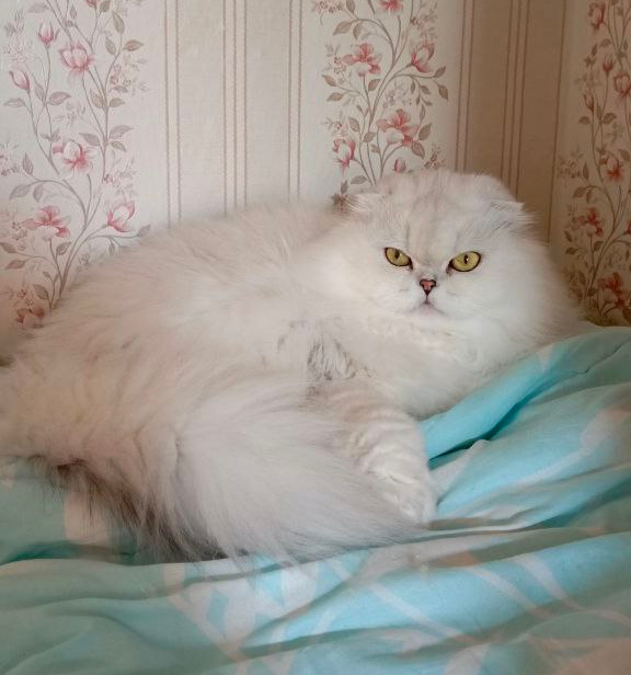 Фото из личного архива