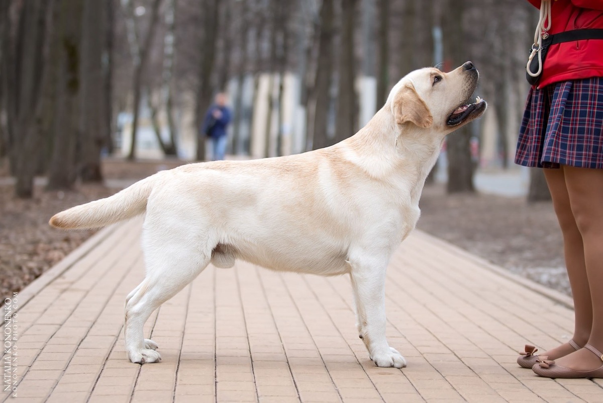 Фото для обложки из интернета, к теме статьи отношения НЕ ИМЕЕТ