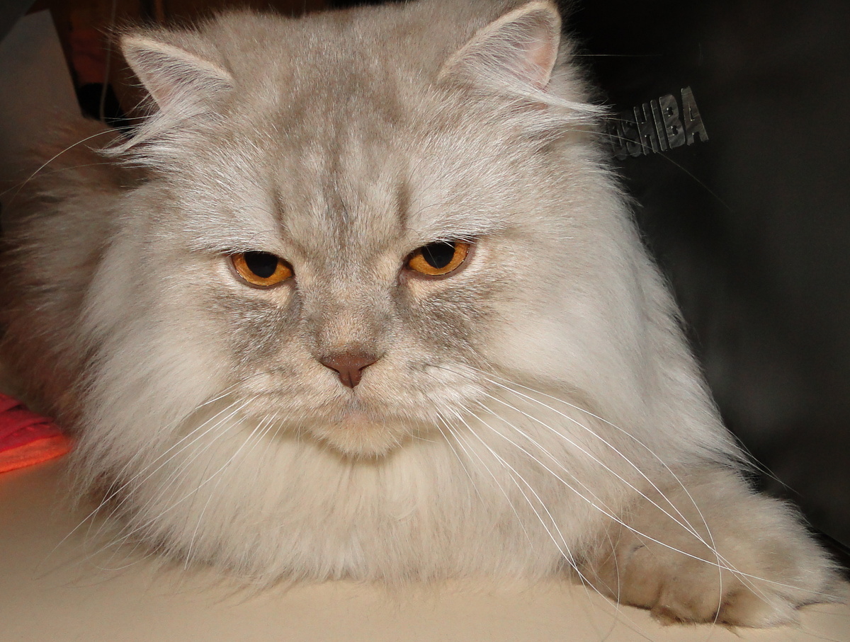 Фото из личного архива