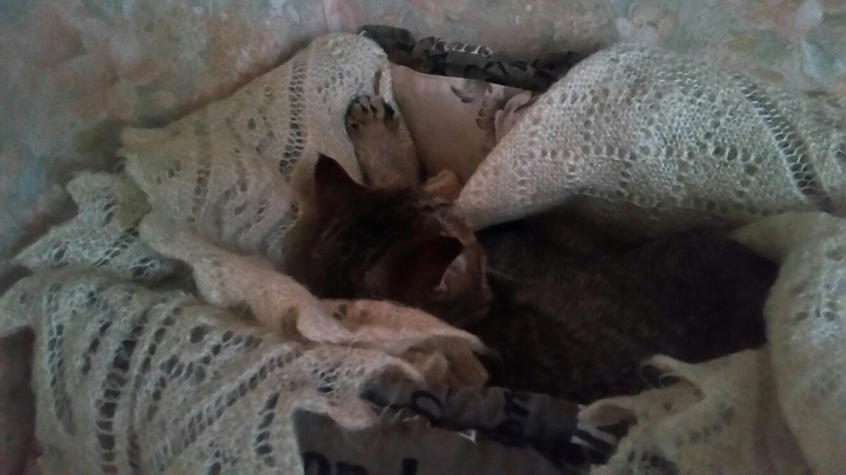 ФОТО ИЗ ЛИЧНОГО АРХИВА