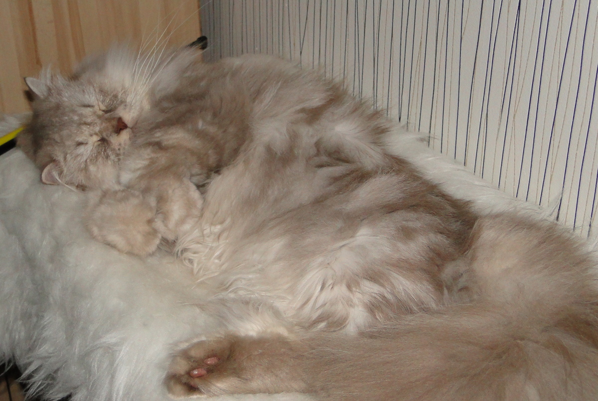 Фото из личного архива