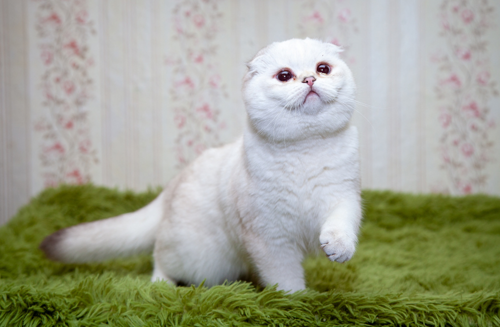 Фото из личного архива