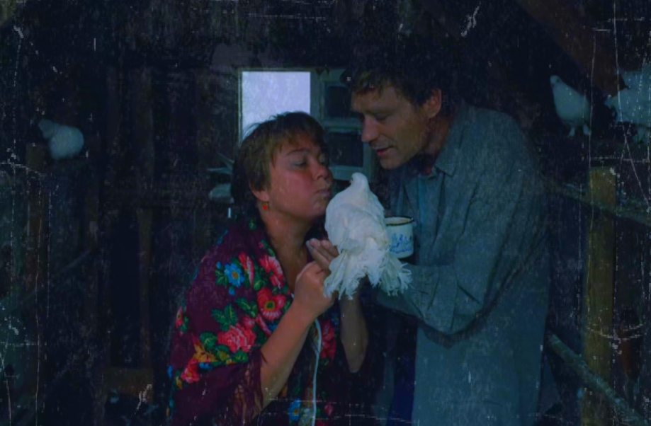 Кадр из фильма "Любовь и голуби"