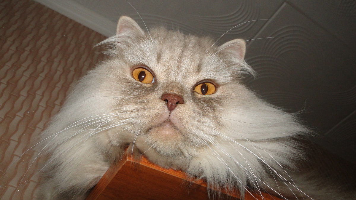 Фото из личного архива