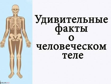 фото источник roliki-magazin.ru