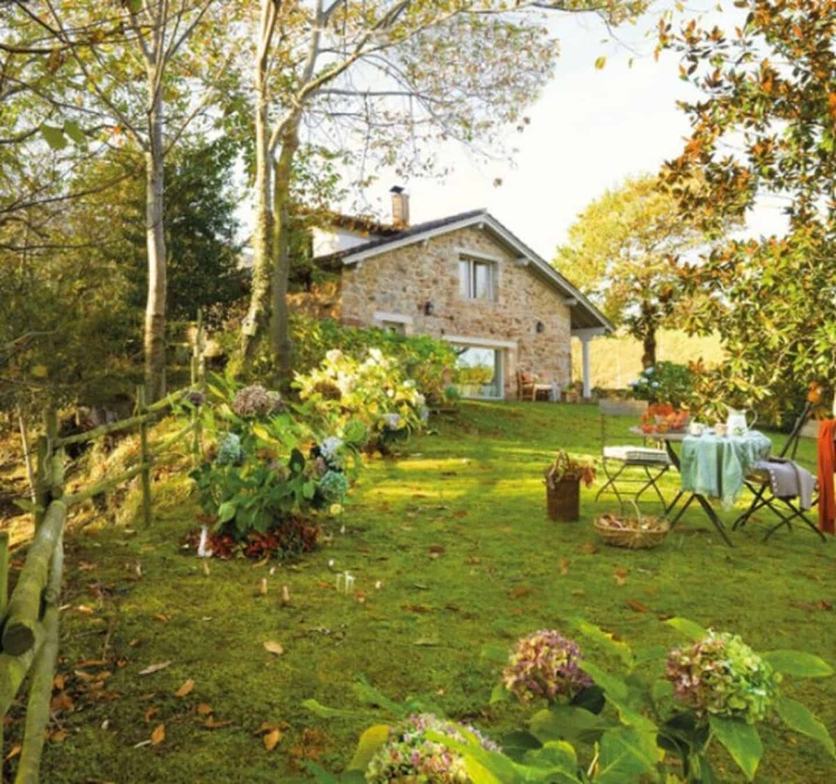 яндекс.картинки 