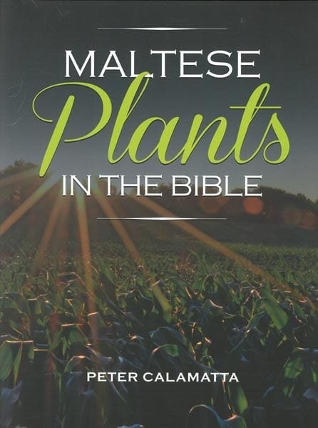 Стоит прочитать...