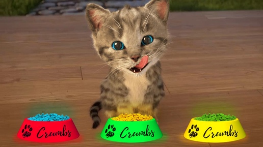 Видео для детей про животных - играем с крошкой котиком