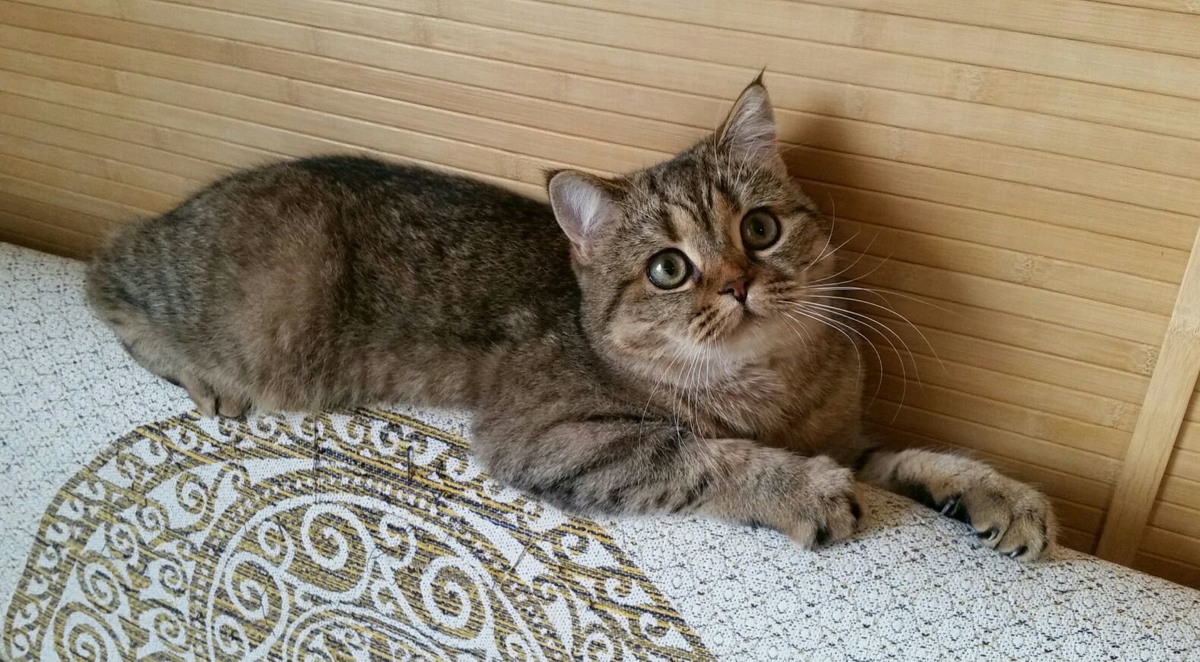 ФОТО ИЗ ЛИЧНОГО АРХИВА