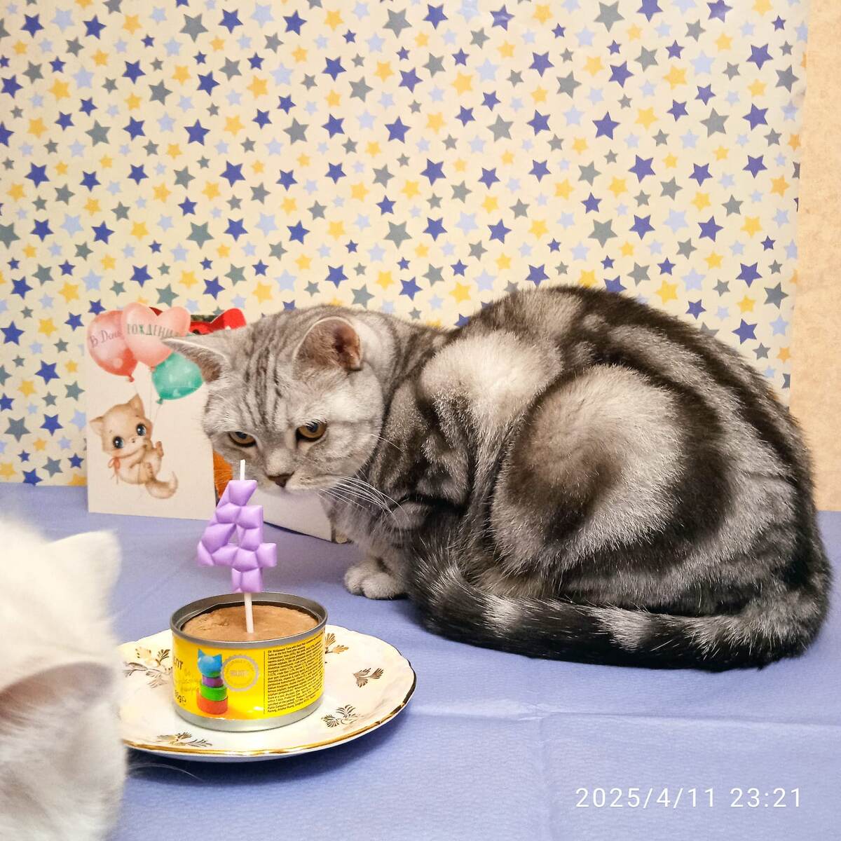 ФОТО ИЗ ЛИЧНОГО АРХИВА