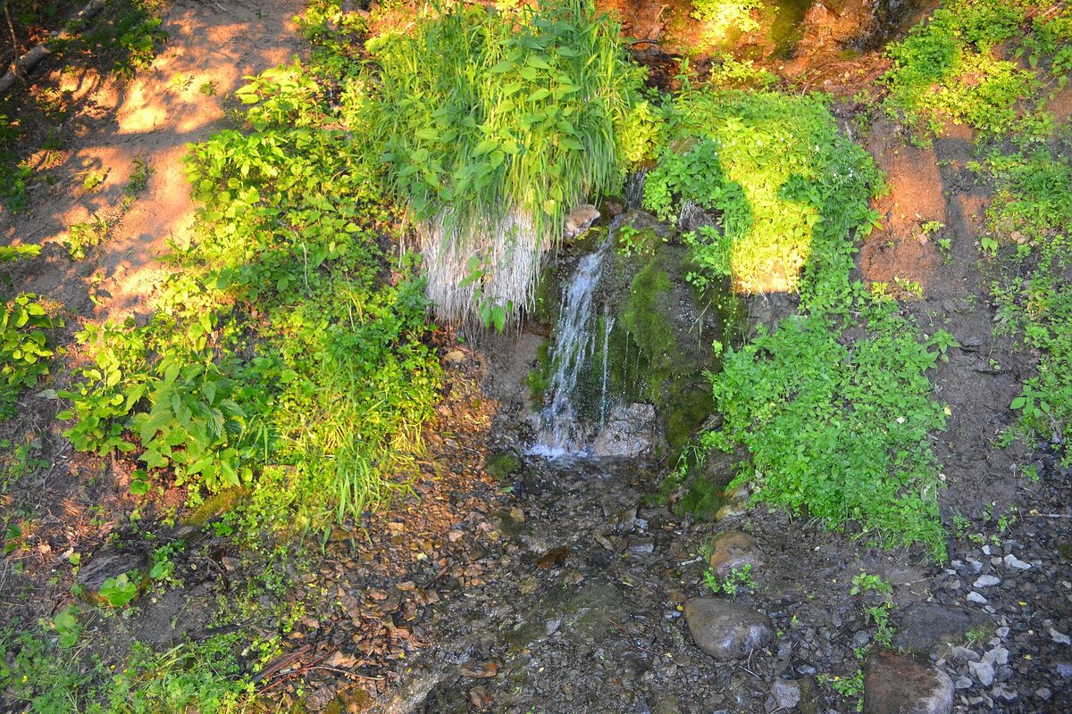 Источник: wikipedia.org Автор: VickRomanoff CC BY-SA 4.0 