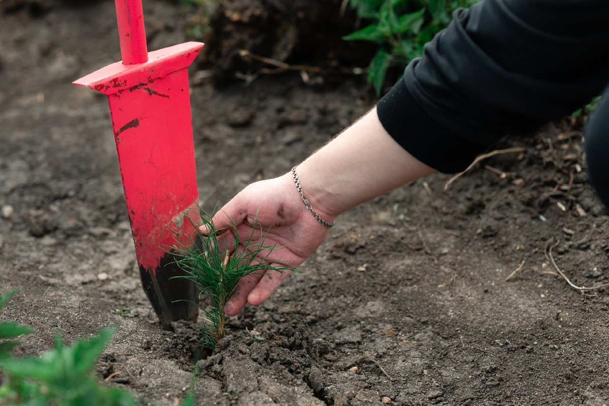 Фото: РусКлиматФонд