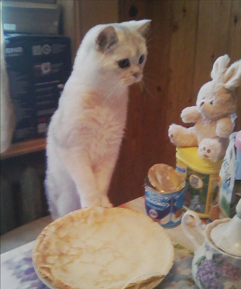 ФОТО ИЗ ЛИЧНОГО АРХИВА