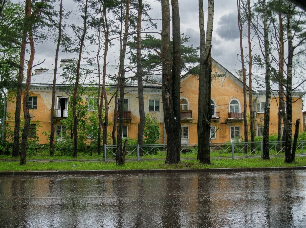 Сталинки в Ижоре окружены вековыми соснами. Фото: Мир Квартир