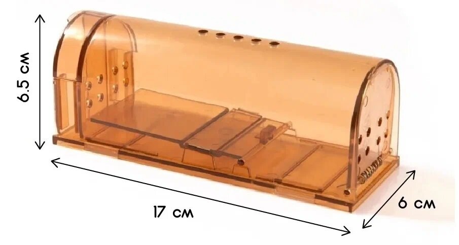 Фото 2. Размеры гуманной мышеловки