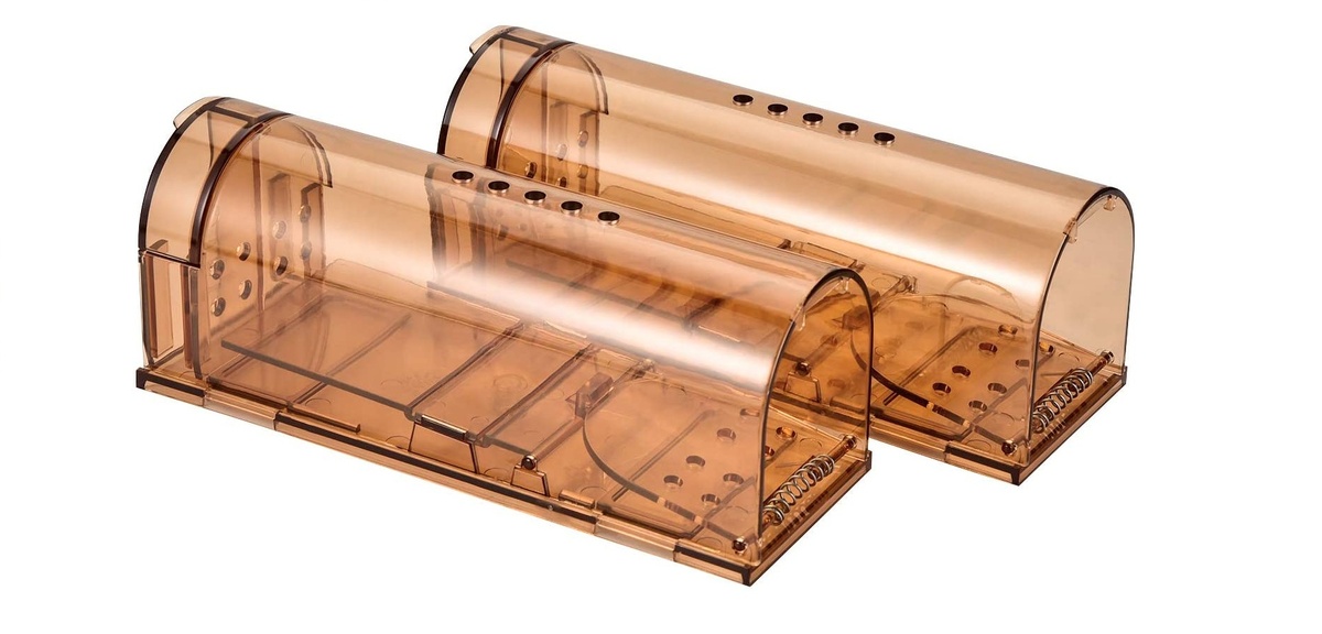 Фото 1. Гуманные мышеловки