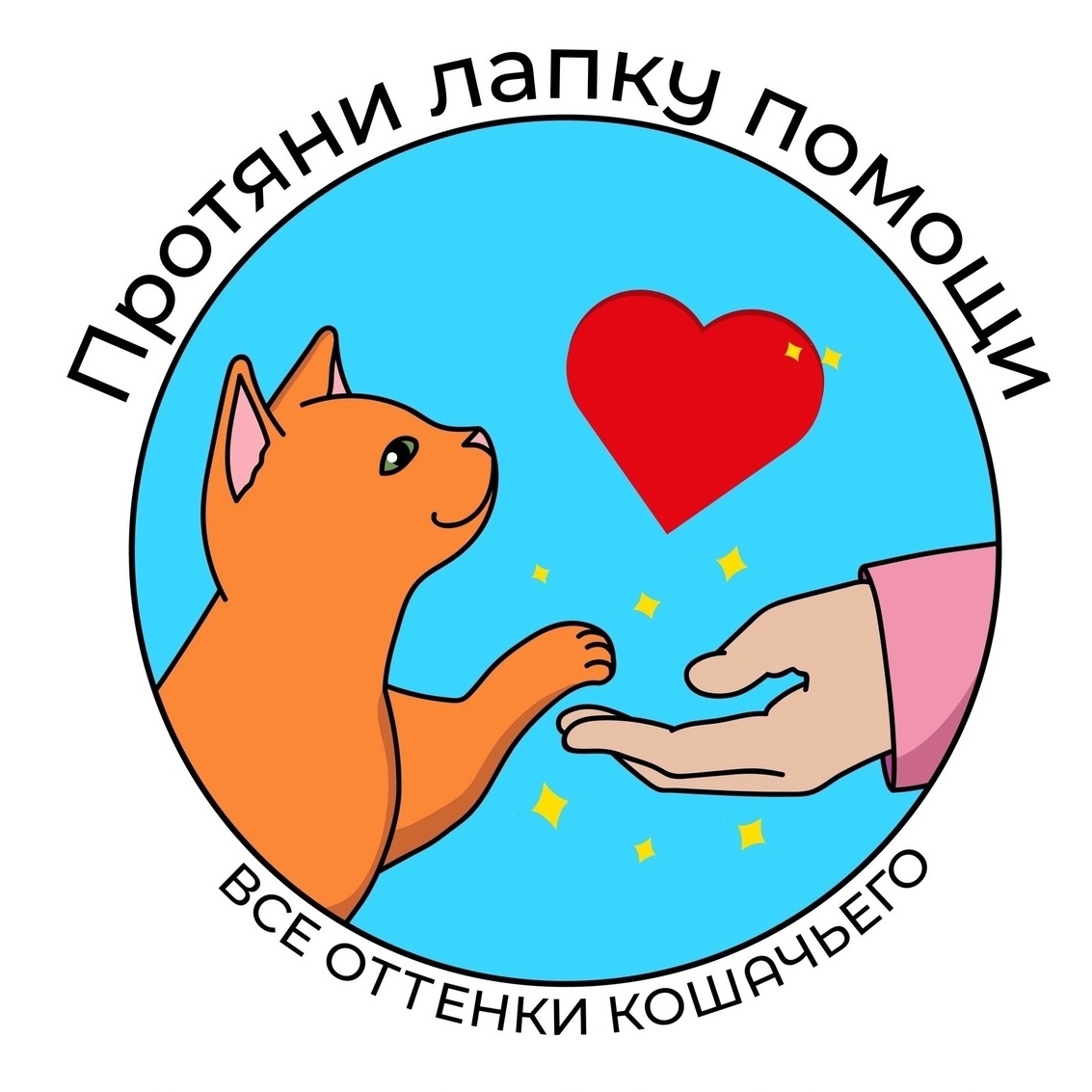 © ВСЕ ОТТЕНКИ КОШАЧЬЕГО