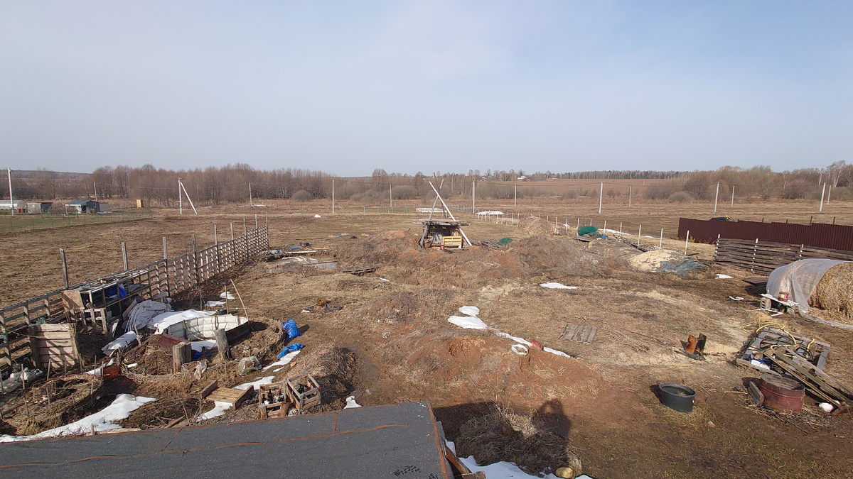 Ещё до апрельских снегов успел скататься на Землю.