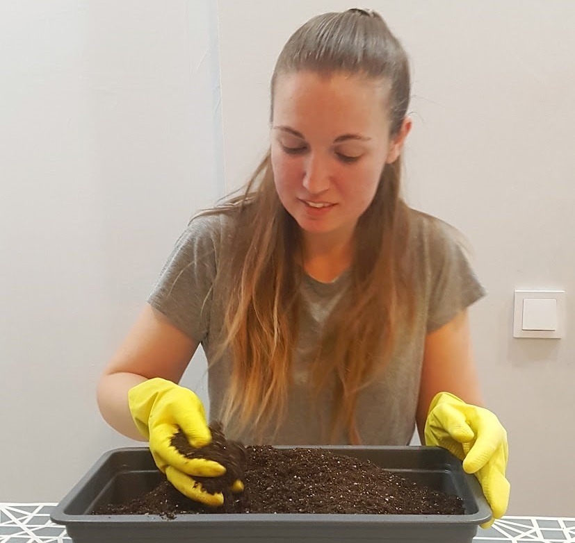 Универсальный грунт для выращивания рассады овощей и цветов