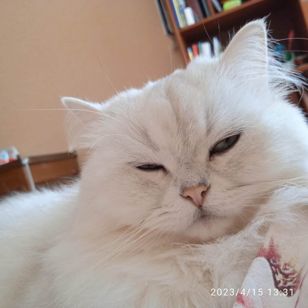 ФОТО ИЗ ЛИЧНОГО АРХИВА