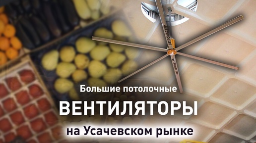 Усачевский рынок, Москва
