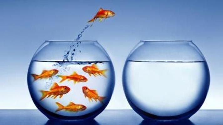 Как выжить в плену?