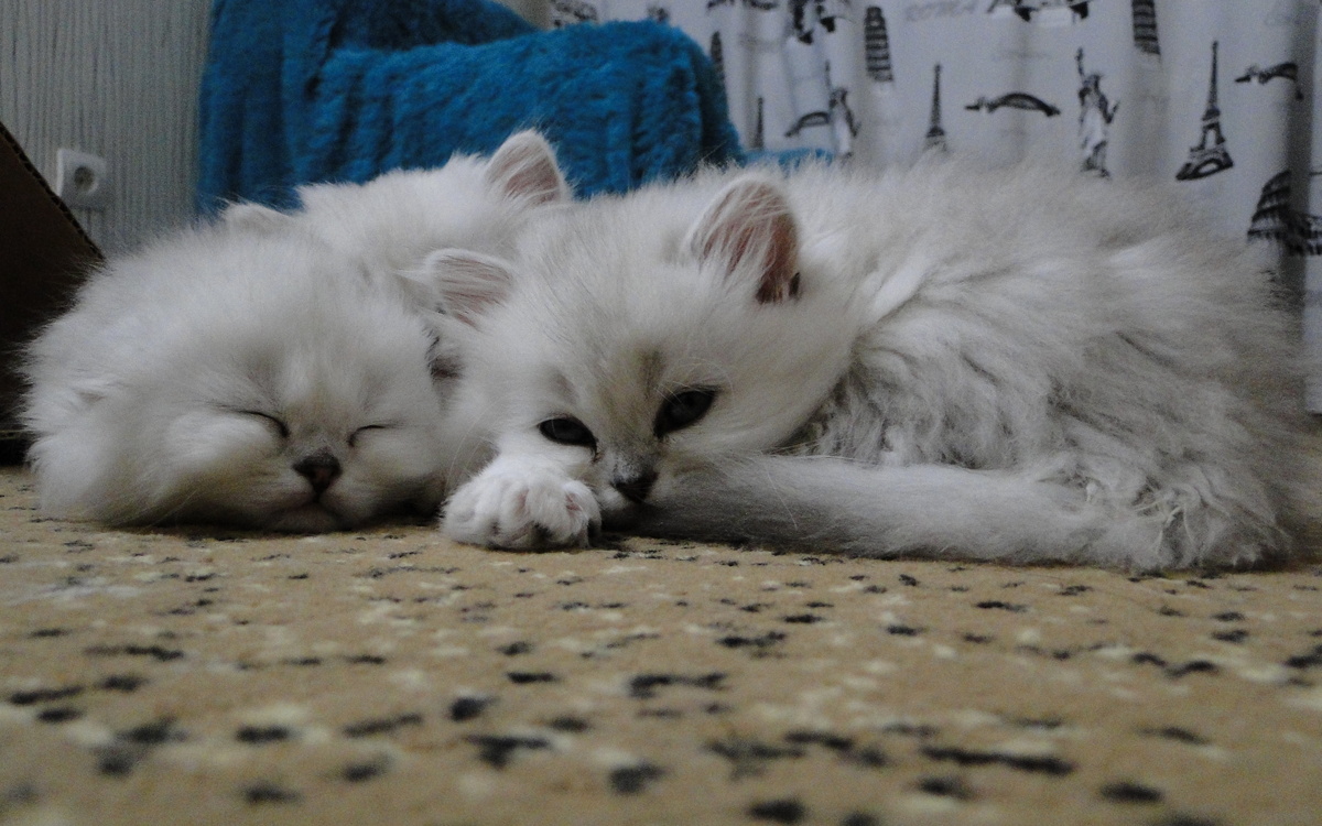 ФОТО ИЗ ЛИЧНОГО АРХИВА