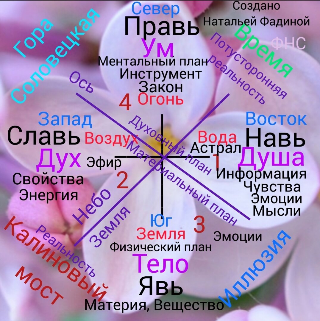 Мой цветок мироздания.