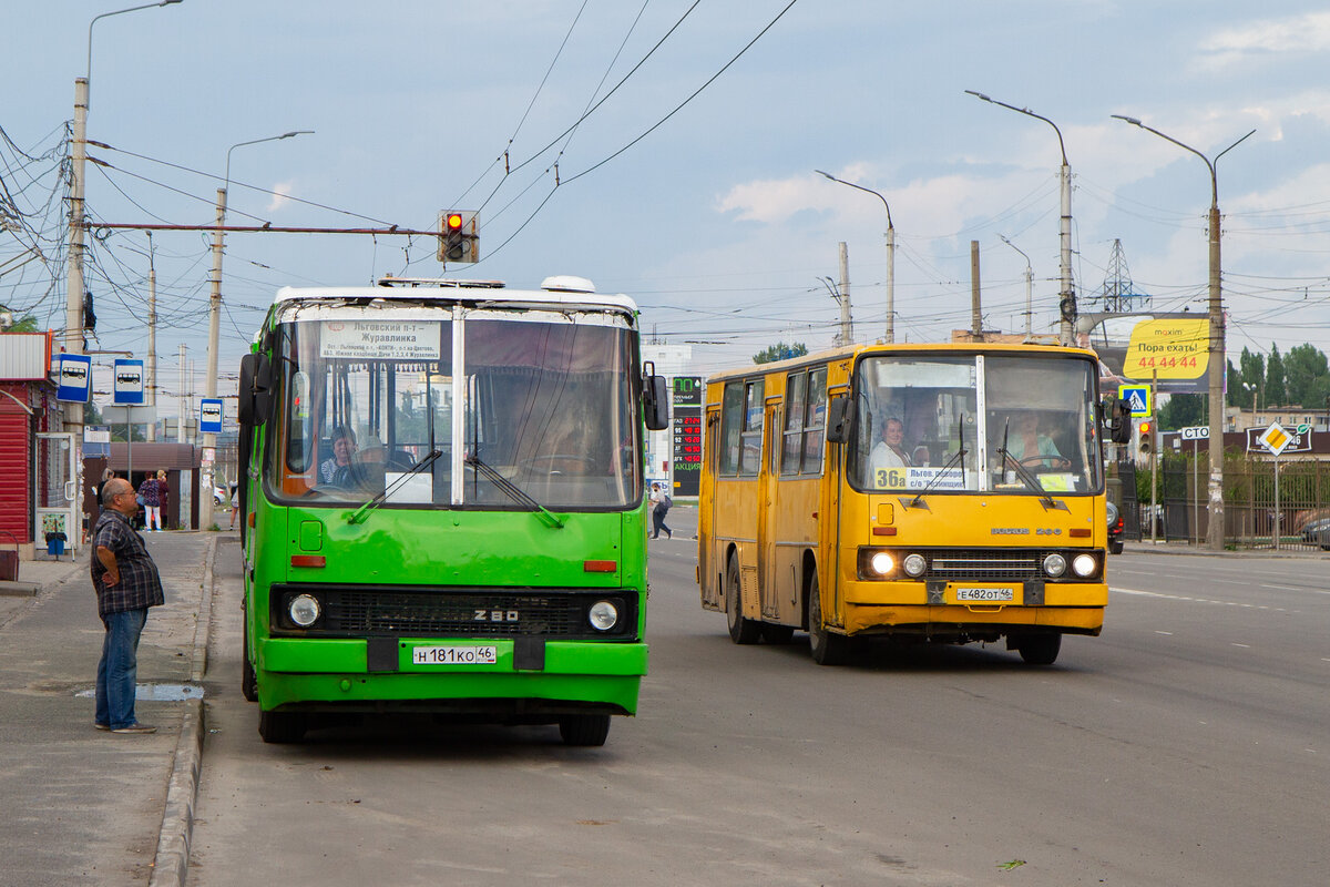 Курск воронеж автобус