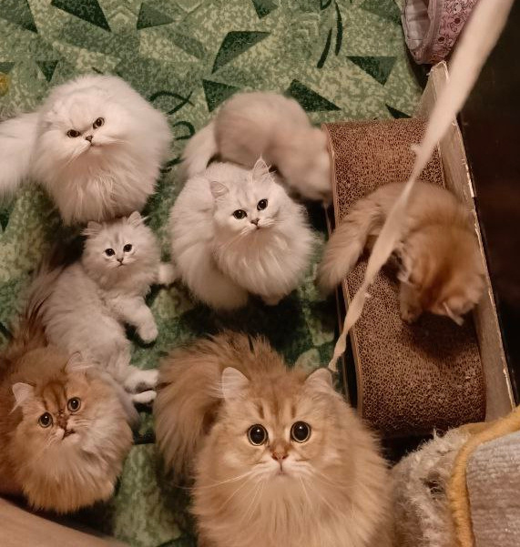 Фото из личного архива