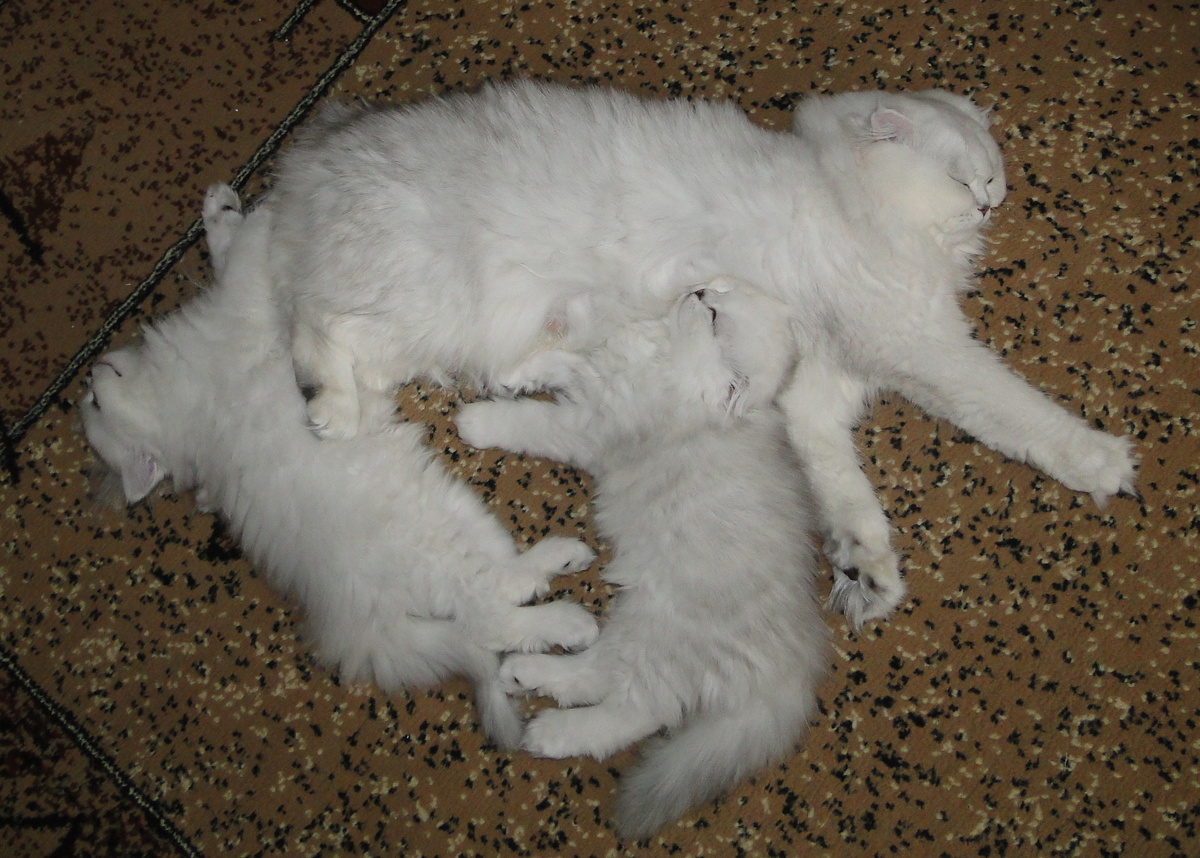 ФОТО ИЗ ЛИЧНОГО АРХИВА