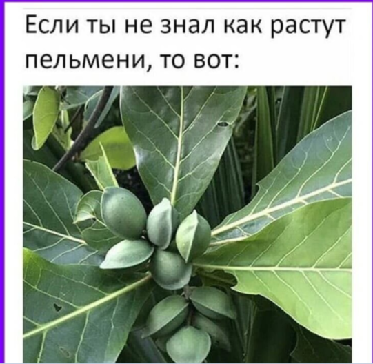 Замкнуть концы