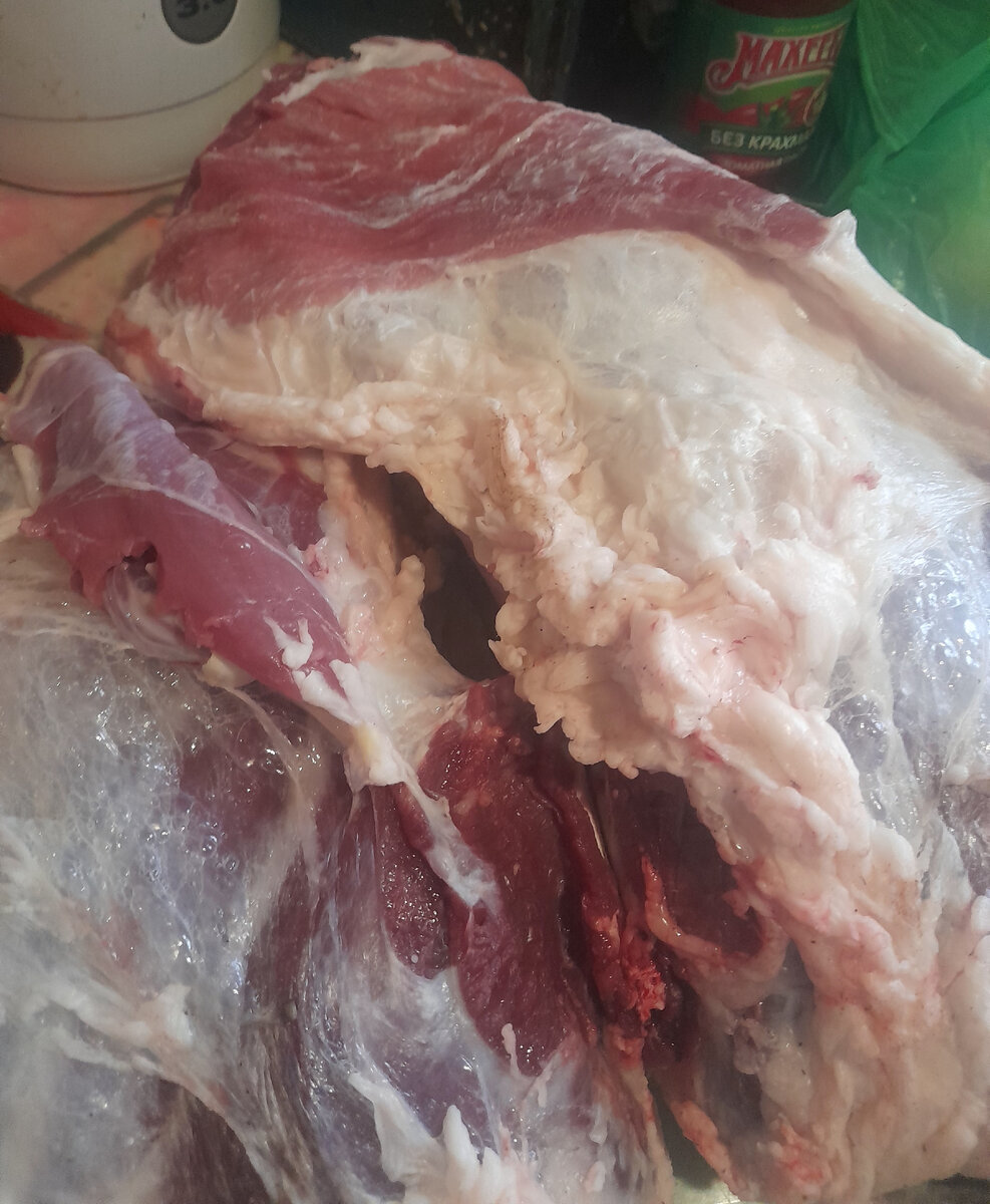 Задняя часть