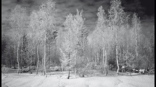 С.В. Савельев. «Искусство фотографии» - [20170131]