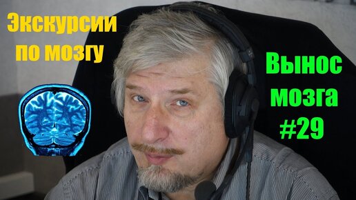 Экскурсии по мозгу. Сергей Савельев (Вынос мозга #29) - [20180130]