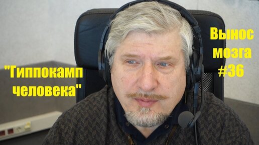 Гиппокамп человека. Сергей Савельев (Вынос мозга #36) - [20180317]