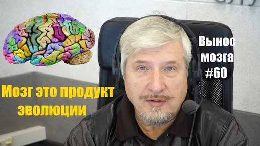 «Мозг — продукт эволюции» С.В. Савельев (Вынос мозга №60) - [20181019]