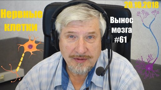 «Нервные клетки» Сергей Савельев (Вынос мозга №61) - [20181024]