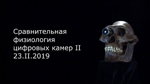 С.В. Савельев. Сравнительная физиология цифровых камер II - [20190224]