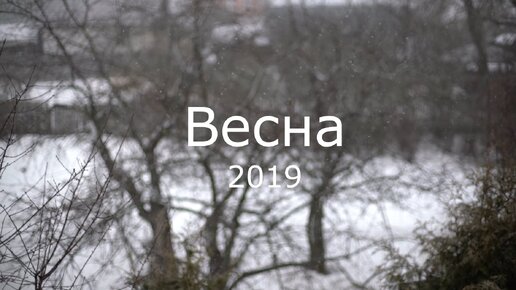 Сергей Савельев. Весна, 2019 год - [20190512]