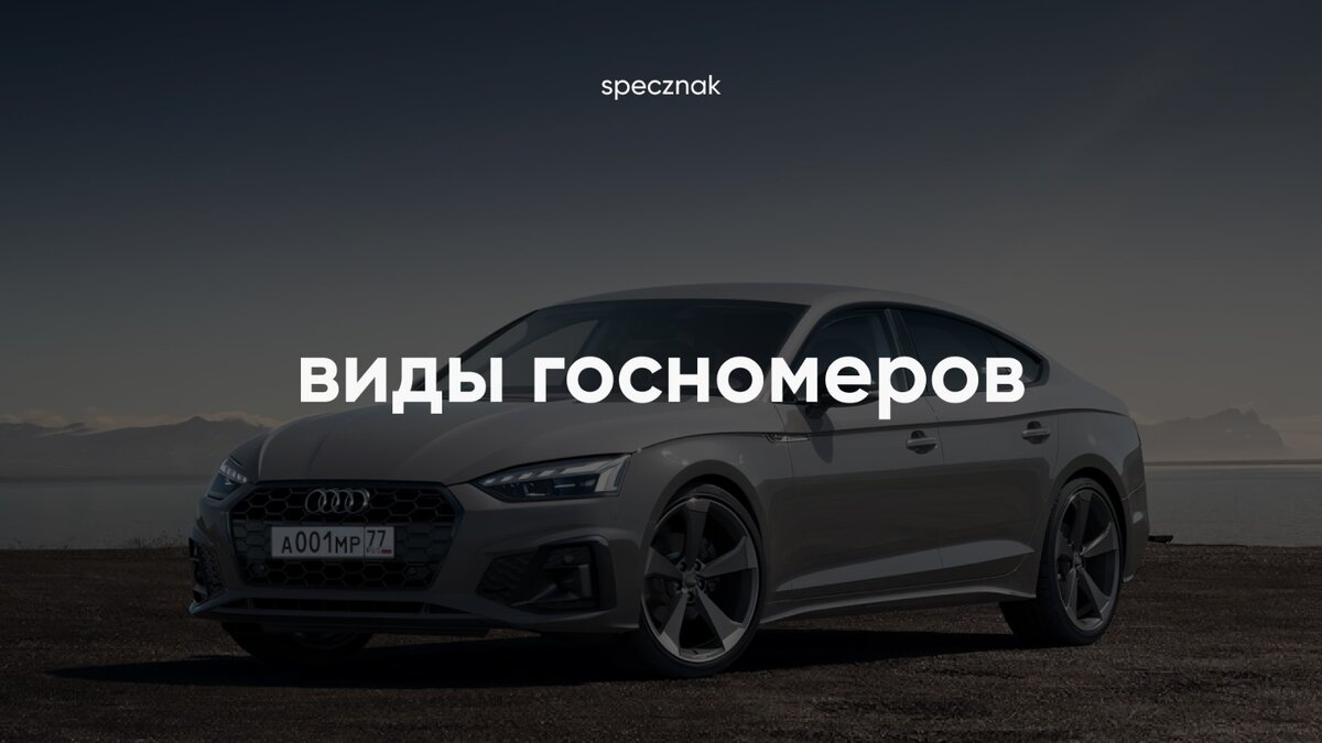 Виды госномеров | СпецЗнак | Красивые автономера | Дзен