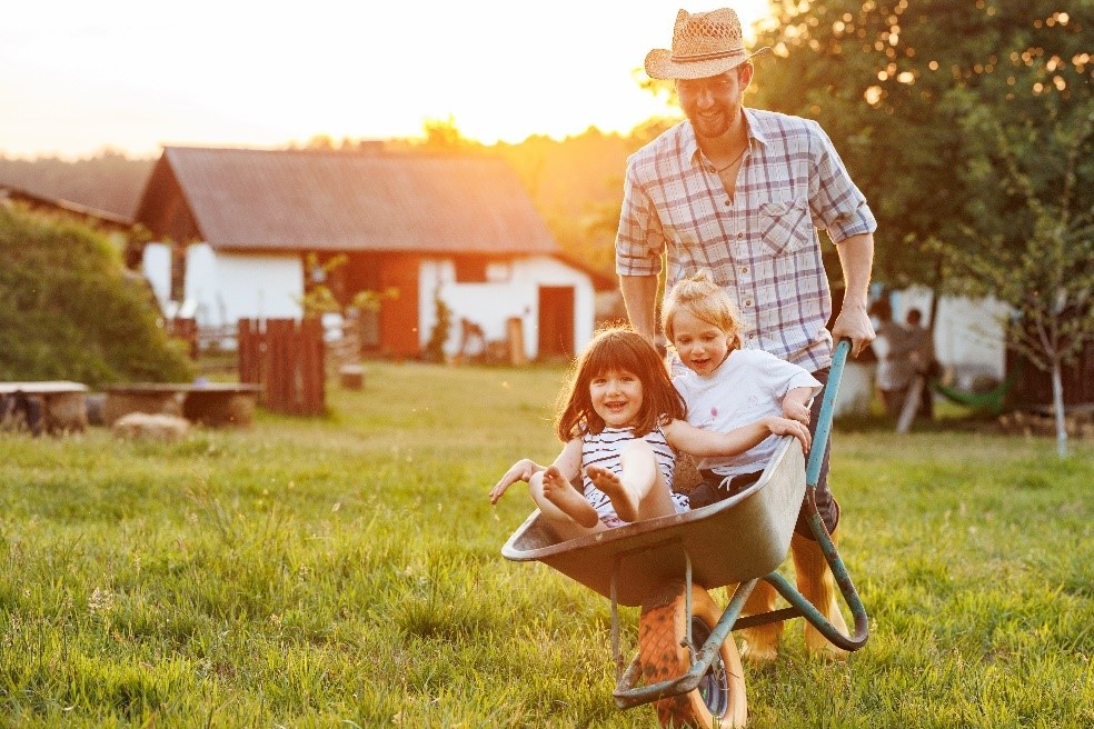 Лето на даче