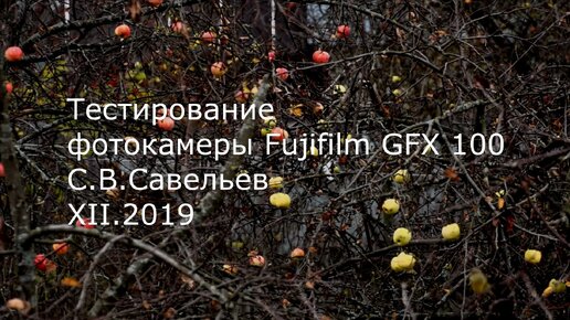 С.В. Савельев. Фотокамера Fujifilm GFX 100 - [20191211]